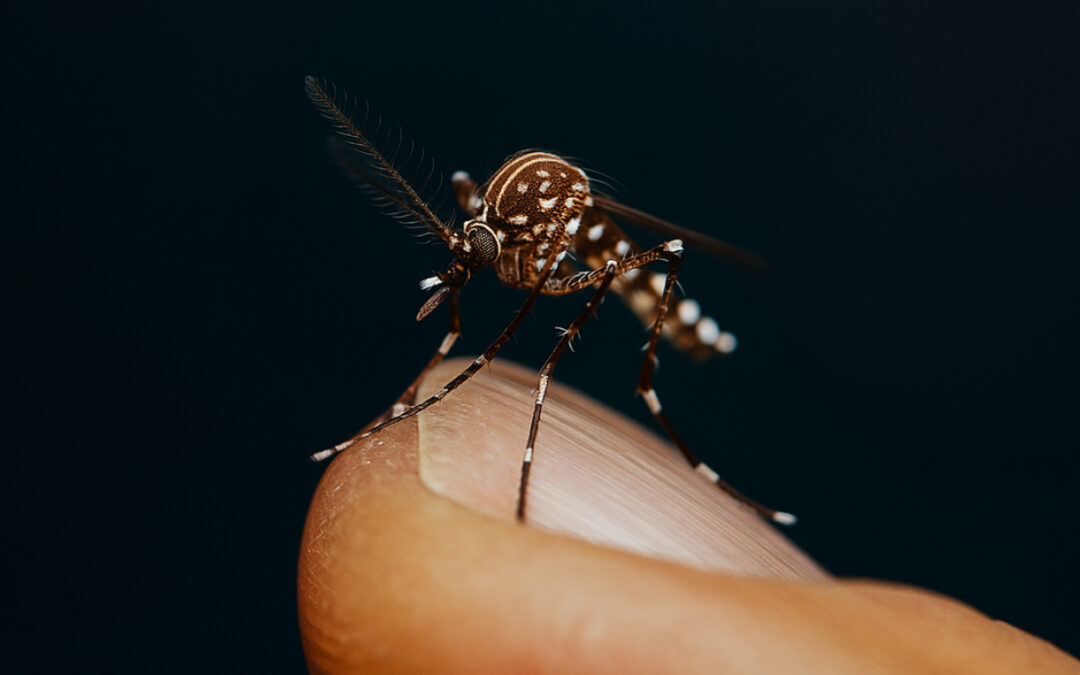 Cuarta edición del curso autoadministrado: Abordaje Integral del Dengue