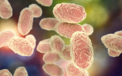 Actualización clínica y epidemiológica sobre Coqueluche: capacitación para equipos de salud