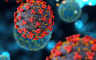 La identificación de subtipos de Covid persistente: una revisión sistemática