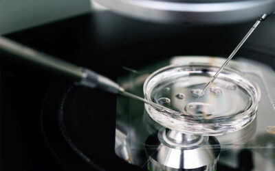El impacto de la infección por Covid-19 en la tasa de nacimientos vivos en ciclos de transferencia de embriones frescos