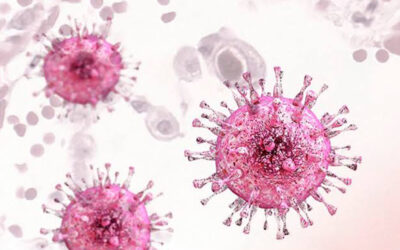 Redes de resiliencia virus-hospedero y circuitos inflamatorios asociados a la senescencia en el envejecimiento y Covid persistente. Una perspectiva centrada en el Citomegalovirus